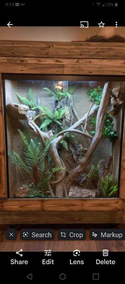 Erotic Wood Decor For Your Terrarium Or Aquariums