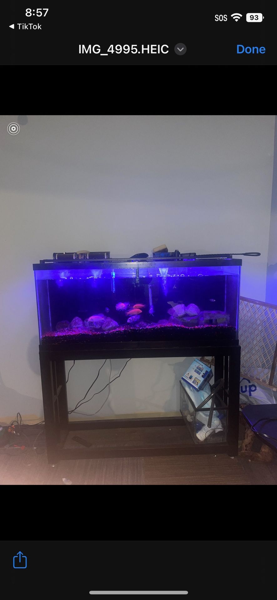 Aquariums For Sale