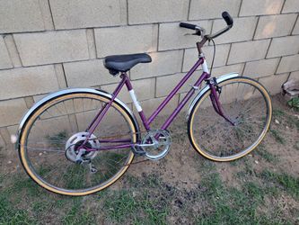 Raleigh Road Bike