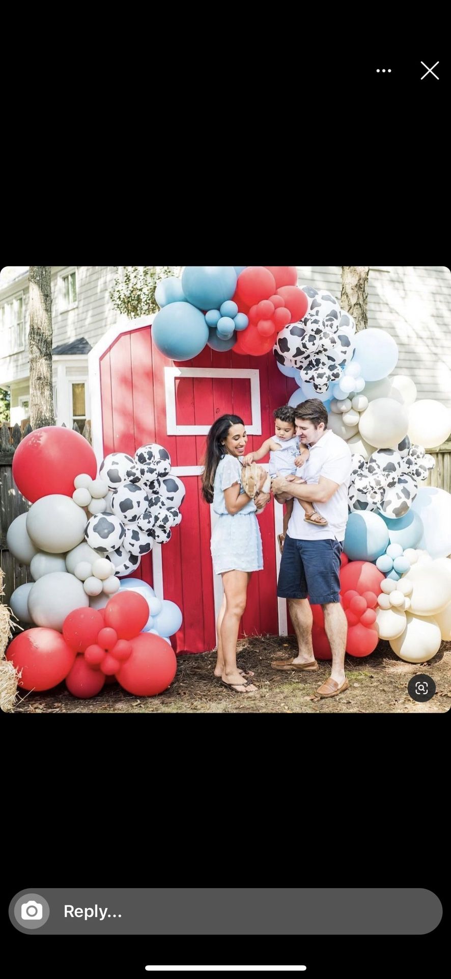 Farm Door Photo Back Drop (wood) 