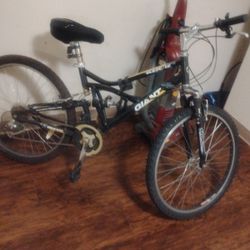 Giant 1.0 Blaze 1.0  6-Gear Mountain Bike