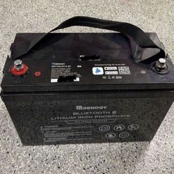 Renogy 12V 100Ah Lithium Iron Phosphate Battery w/ Bluetooth LiFePO4