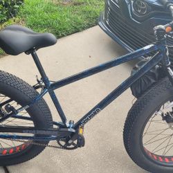 Krusher fat bike clearance