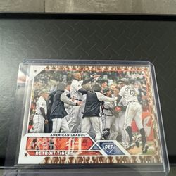 Detroit Tigers Team Camouflage 