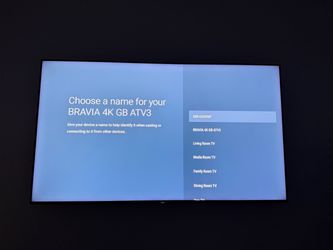 Sony 65in TV