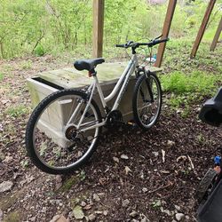 Road Master Adult Bike