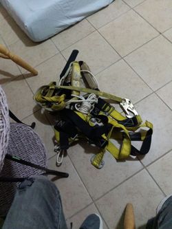 Guardian harness for tree trimming