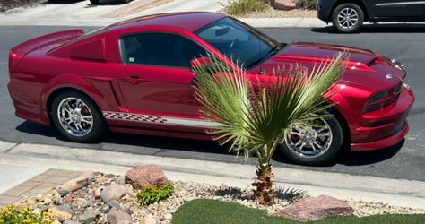2005 Ford Mustang
