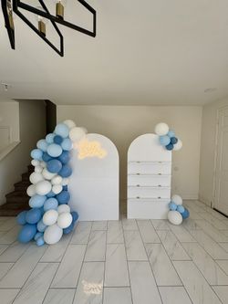 Back Drop With Shelf’s