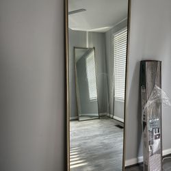 Mirrored Closet Doors 