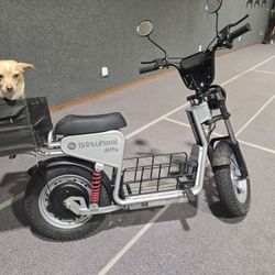 Electric Scooter 