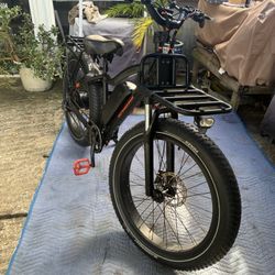 Rad Rover Fat Tire E-Bike