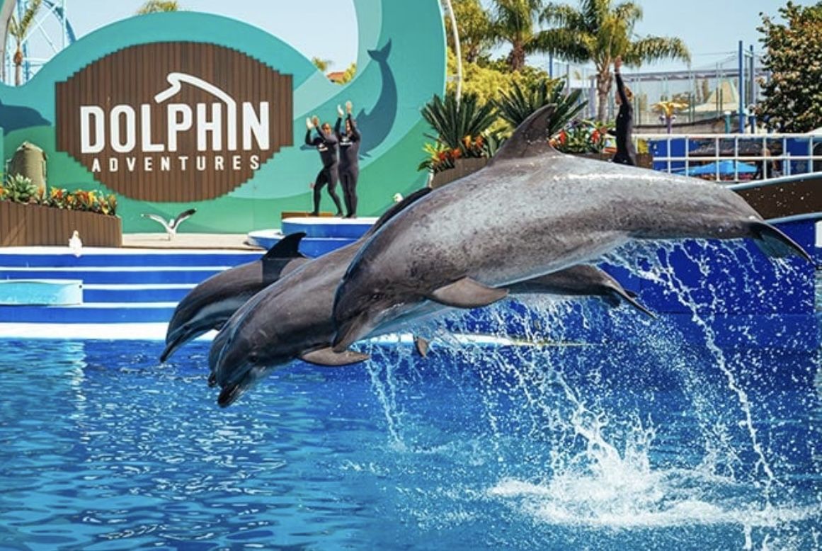 Seaworld tickets