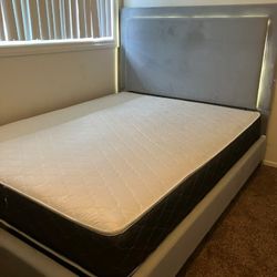 Queen Size Bed Only 