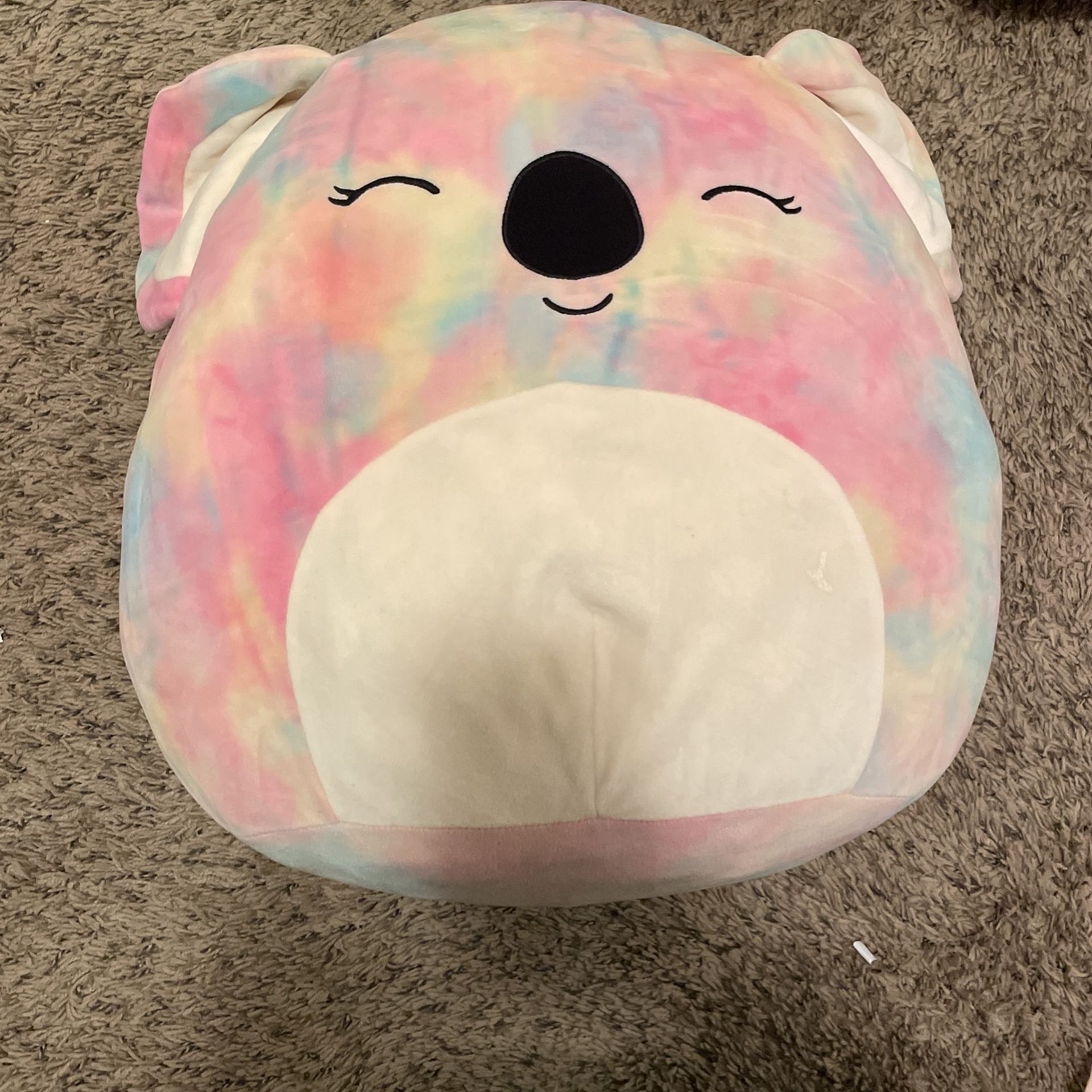 Koala Squishmallow
