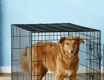 collapsible dog kennel 30Lx 19 Wx21 high $24