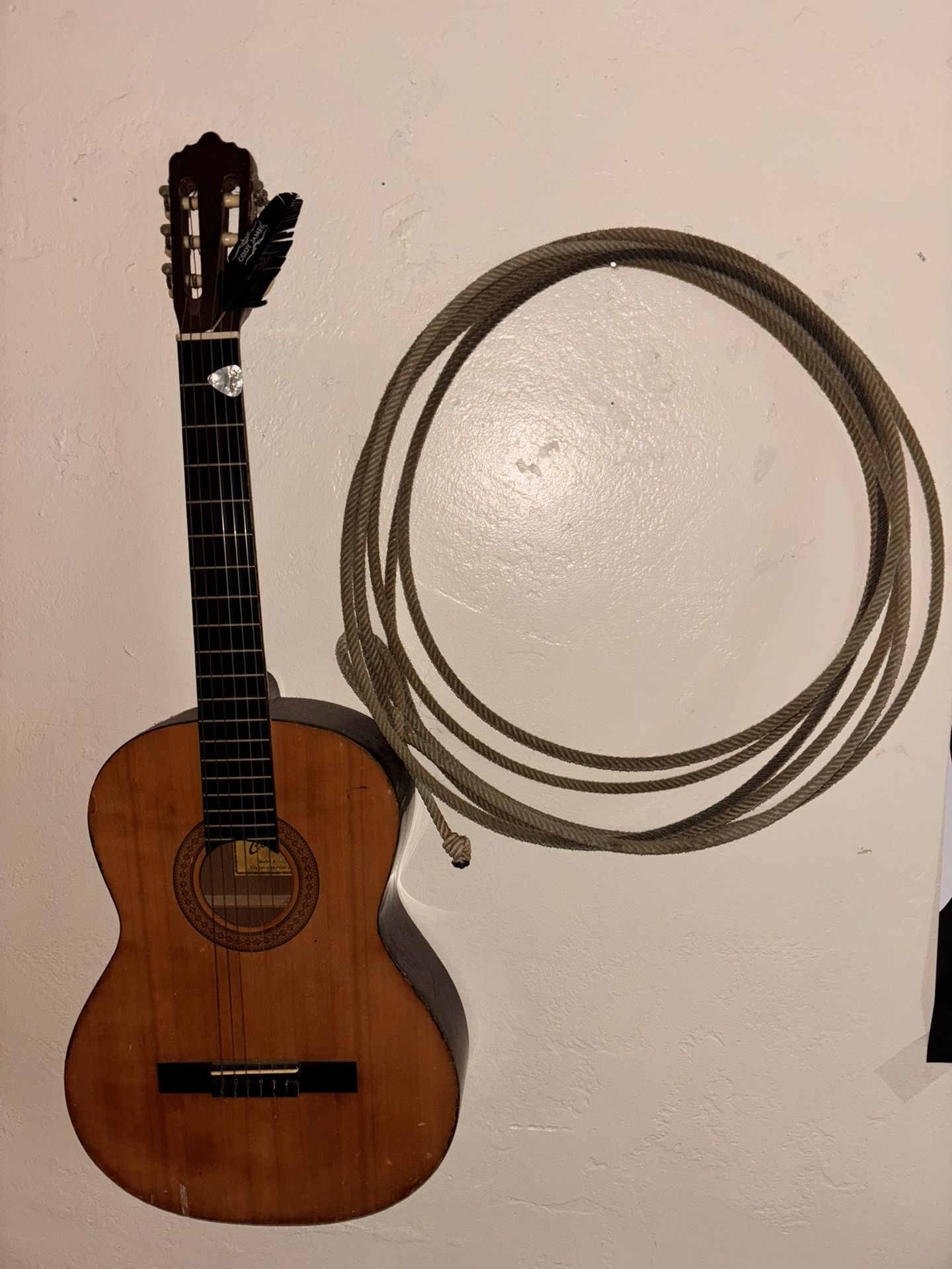 Antique guitar and lasso