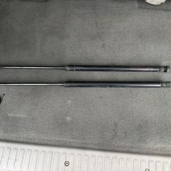Toyota Sequoia Hood Struts
