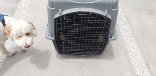 Dog Kennel For Airport Airlines XL Large