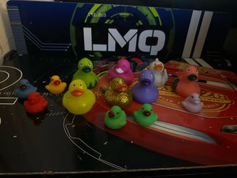 Assorted Ducks