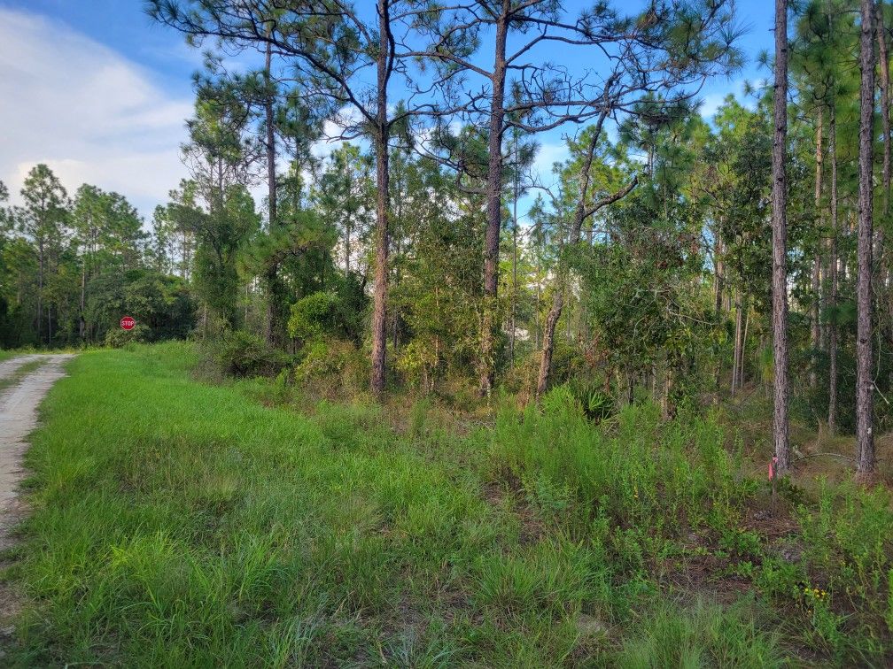 1.25 Acres