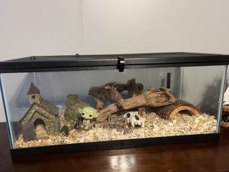 Reptile Enclosure with $100+ In Accessories 