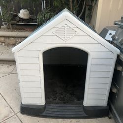 Dog House 