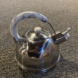 Big stainless steel tea pot