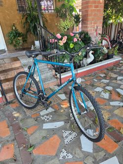 Univega Rover Mountain Bike 21-Speed