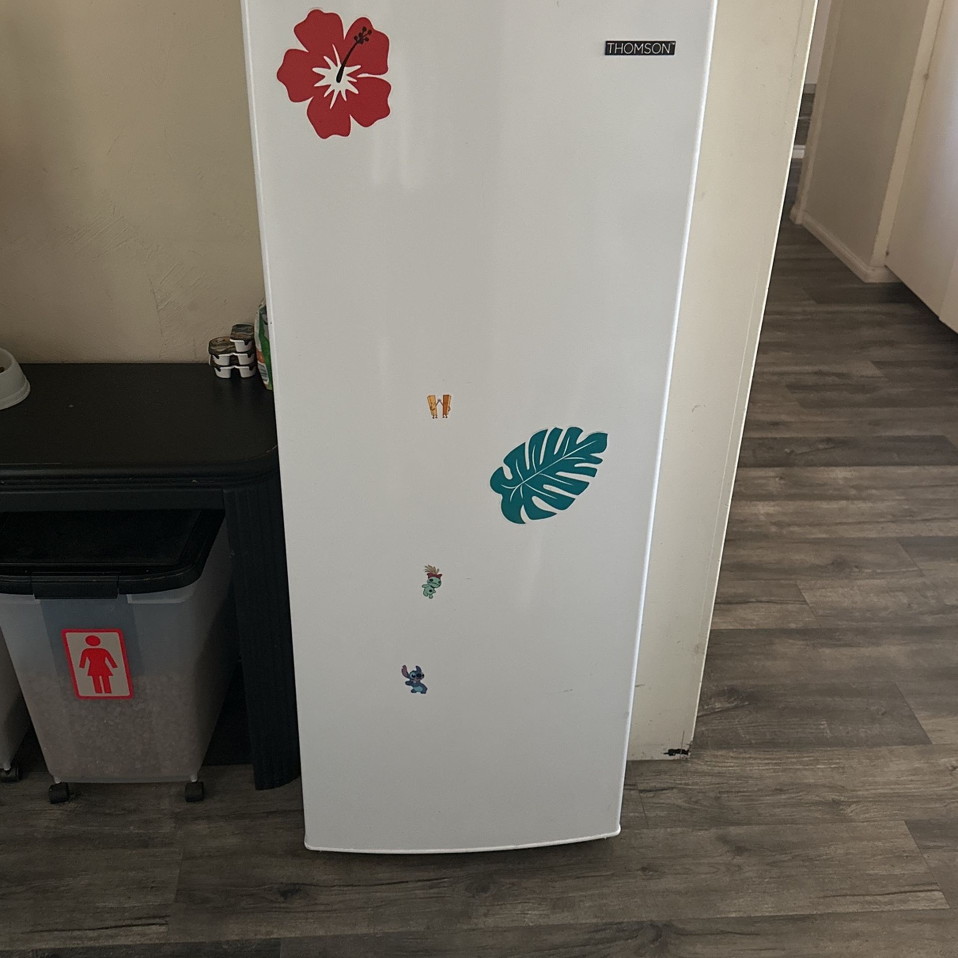 Thomson Stand Up Freezer
