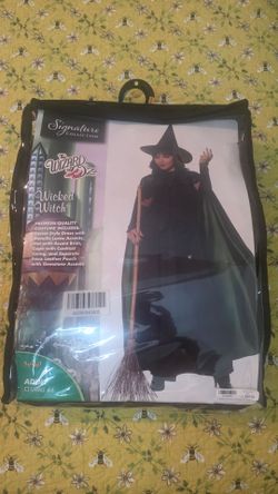 Spirit Halloween Wizard of Oz Wicked Witch Costume Adult Small