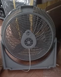 Lasko Fan $20