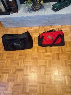 2 gym bags