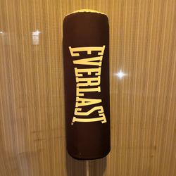 Everlast Swinging Punching Bag