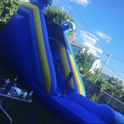 16'x24' dolphin water slide