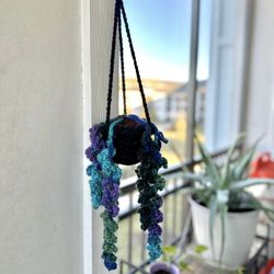 Handmade Crochet Hanging Plants 