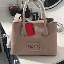 Valentino Purse