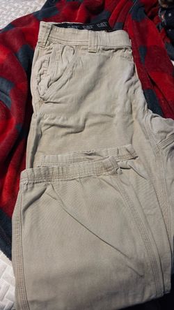 CAT pants
