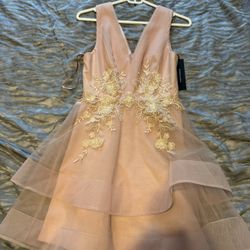 BCBG Dress Pink Size 0