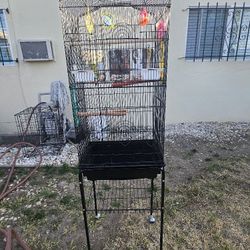 Bird Cage For Sale