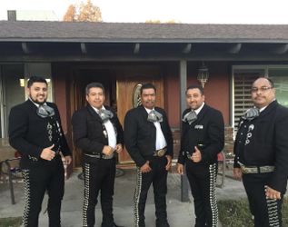 Moños De Mariachi