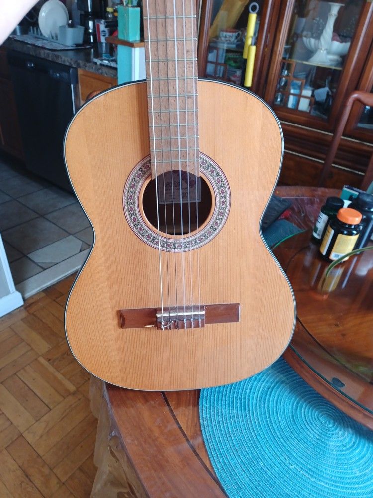 Strunal Classic Guitat 3/4