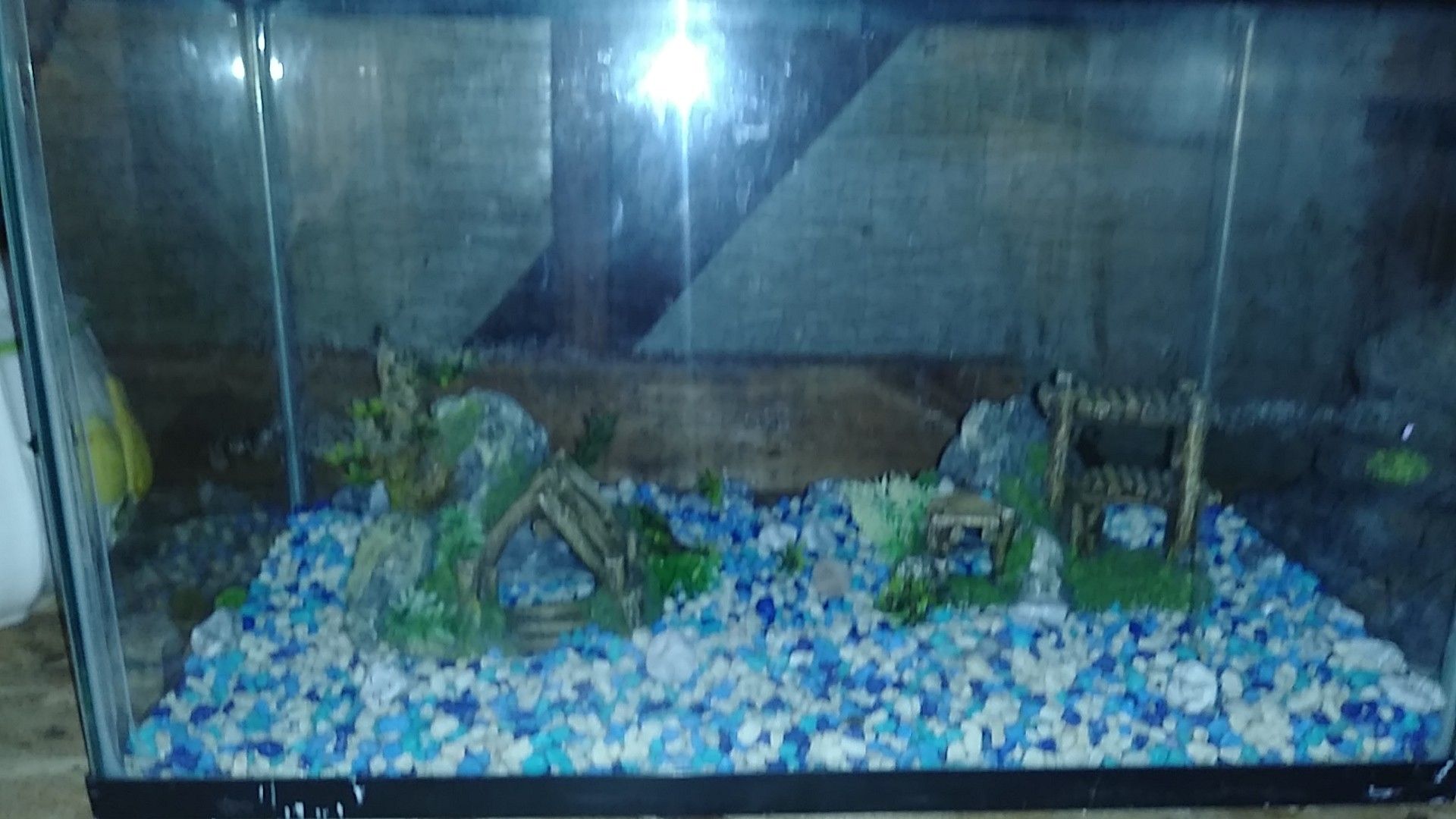 Fish tank