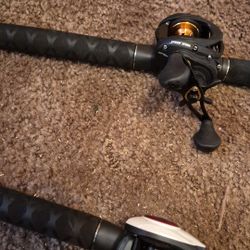 Ugly sticks and new Garcia reels for sale.