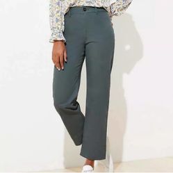 Loft Everlane Madewell Slim Wide Leg Straight Pants