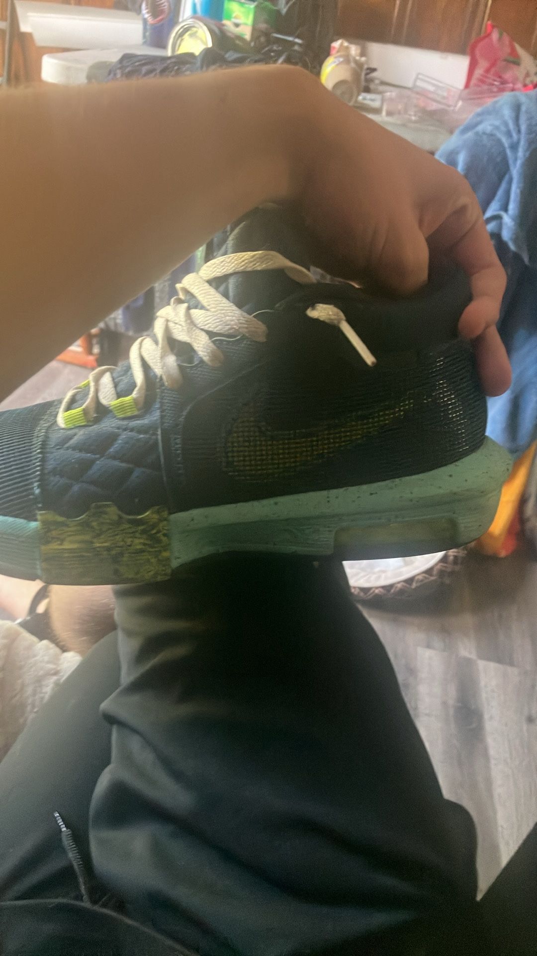 Nike Air And Lerbons 