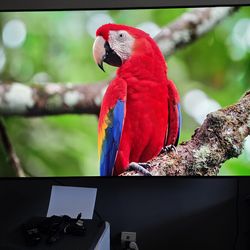 LG 55” OLED TV (B4 Model)