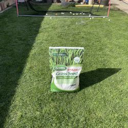 Grass Seeds