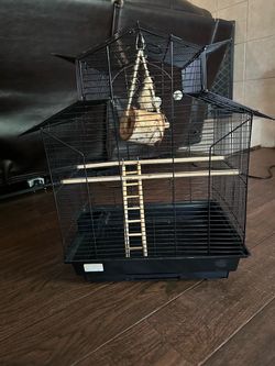 Black Bird Cage with Accessories