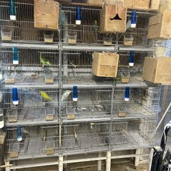 Cages For Birds